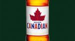 Molly Malone Irish Pub Winterthur MOLSON CANADIAN | LAGER | 5,0%