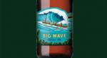 Molly Malone Irish Pub Winterthur KONA BIG WAVE | 4,4%