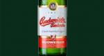 Molly Malone Irish Pub Winterthur BUDWEISER | LAGER | 5,0%